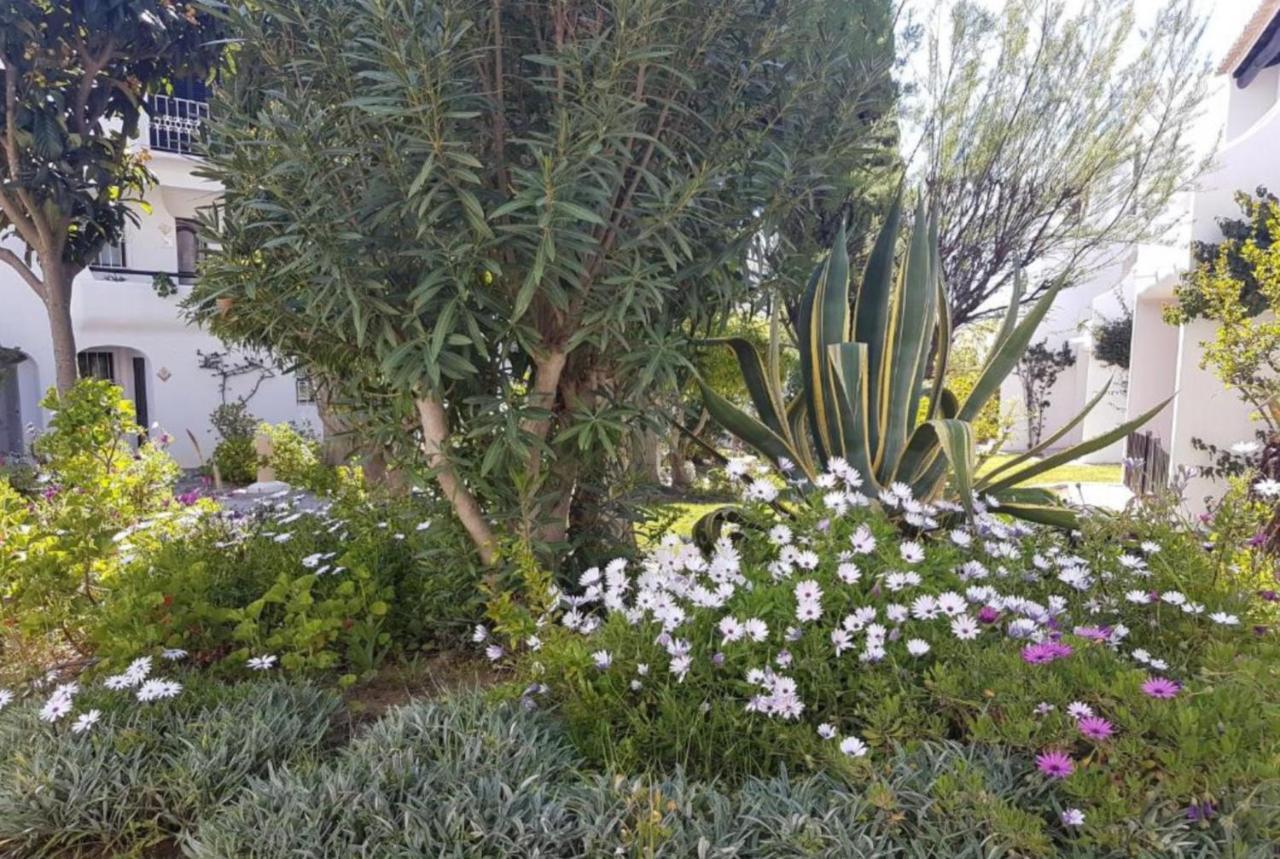 Apartment Sao Rafael Holidays Albufeira Bagian luar foto